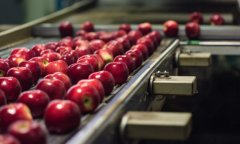 <b>食物加工财产市场阐发及将来趋向预测2026</b>